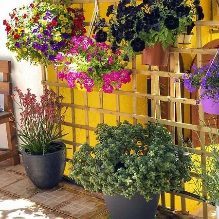 Afrodites Country house *